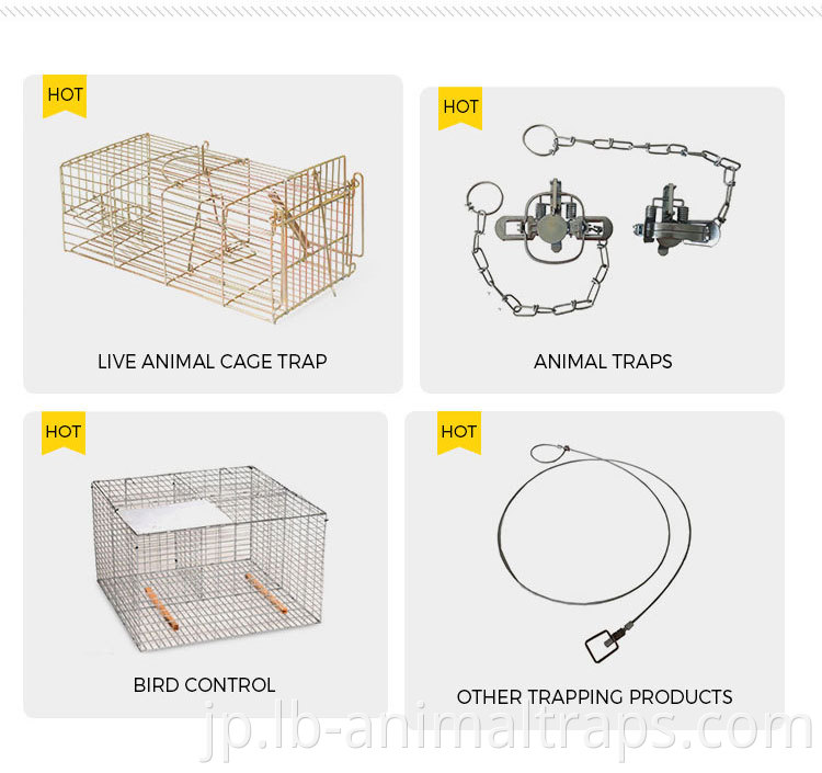 Chipmunk Cage Traps